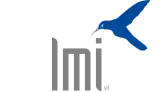 lmi logo